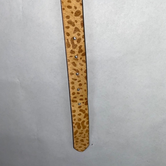 NWOT Urban Outfitters Animal Print Calf Hair 1” Wide Belt Medium NEW - Picture 2 of 6